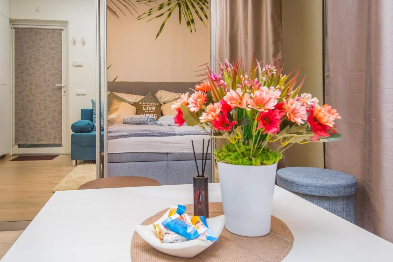Cozy Vaivorykstes Apartment Połąga Zewnętrze zdjęcie